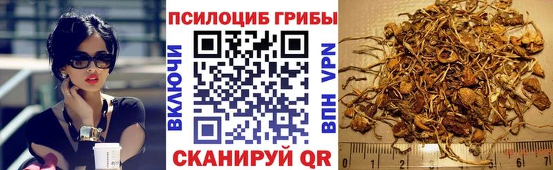 Галлюциногенные грибы Psilocybe  магазин  наркотиков  Барабинск 